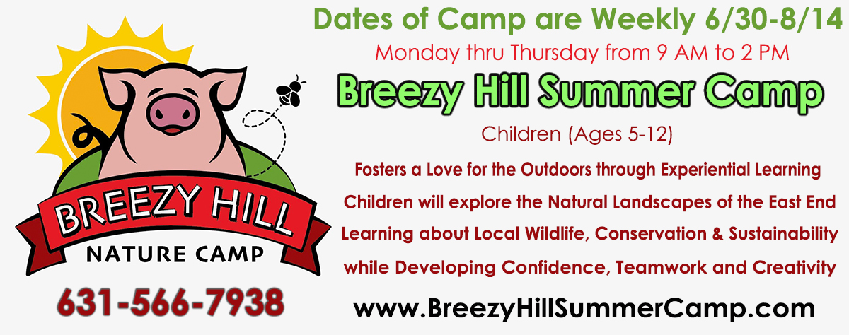 header-breezyhillsummercamp